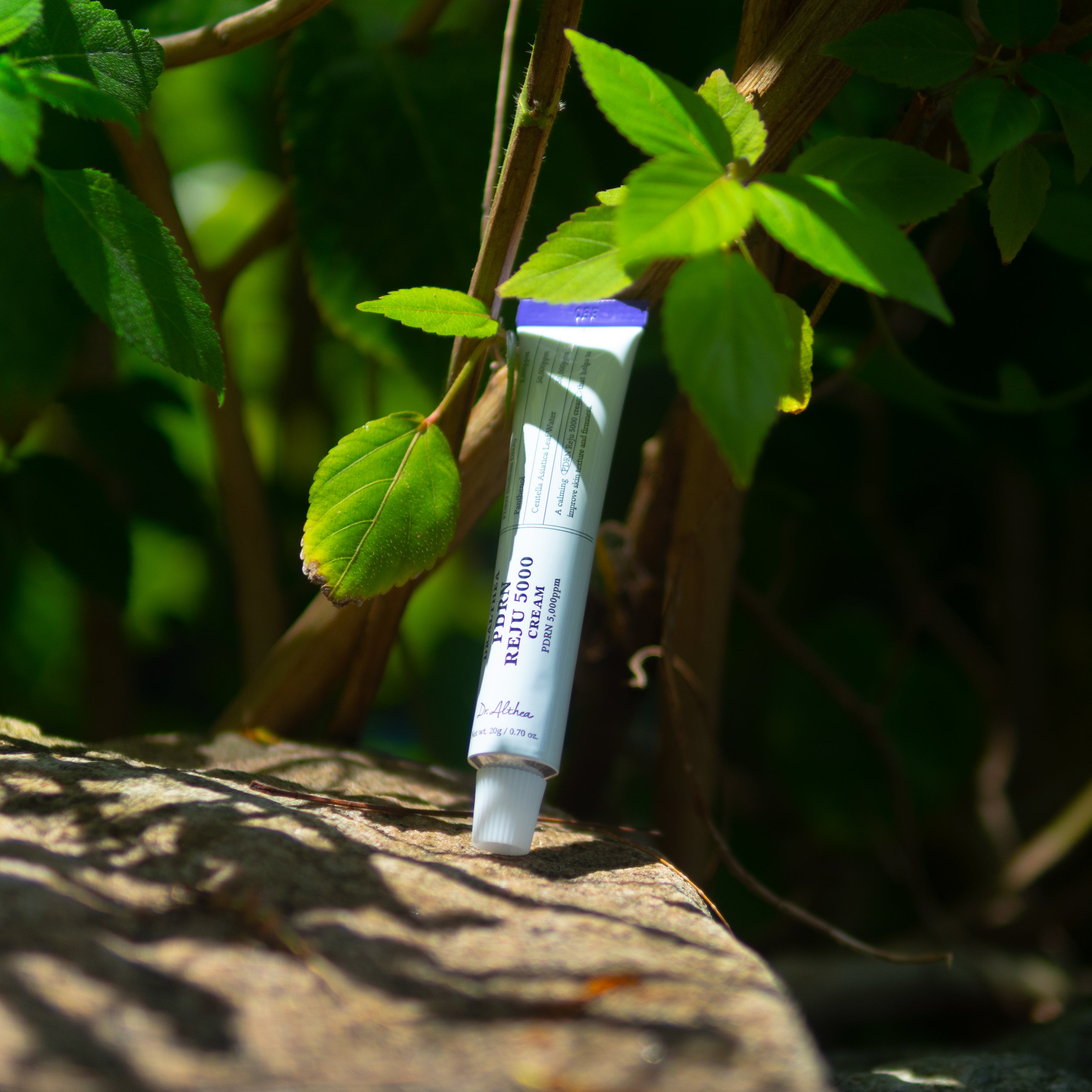 PDRN Reju 5000 Cream