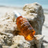 All Day Vitamin Brightening & Balancing Serum - Serenity Skin