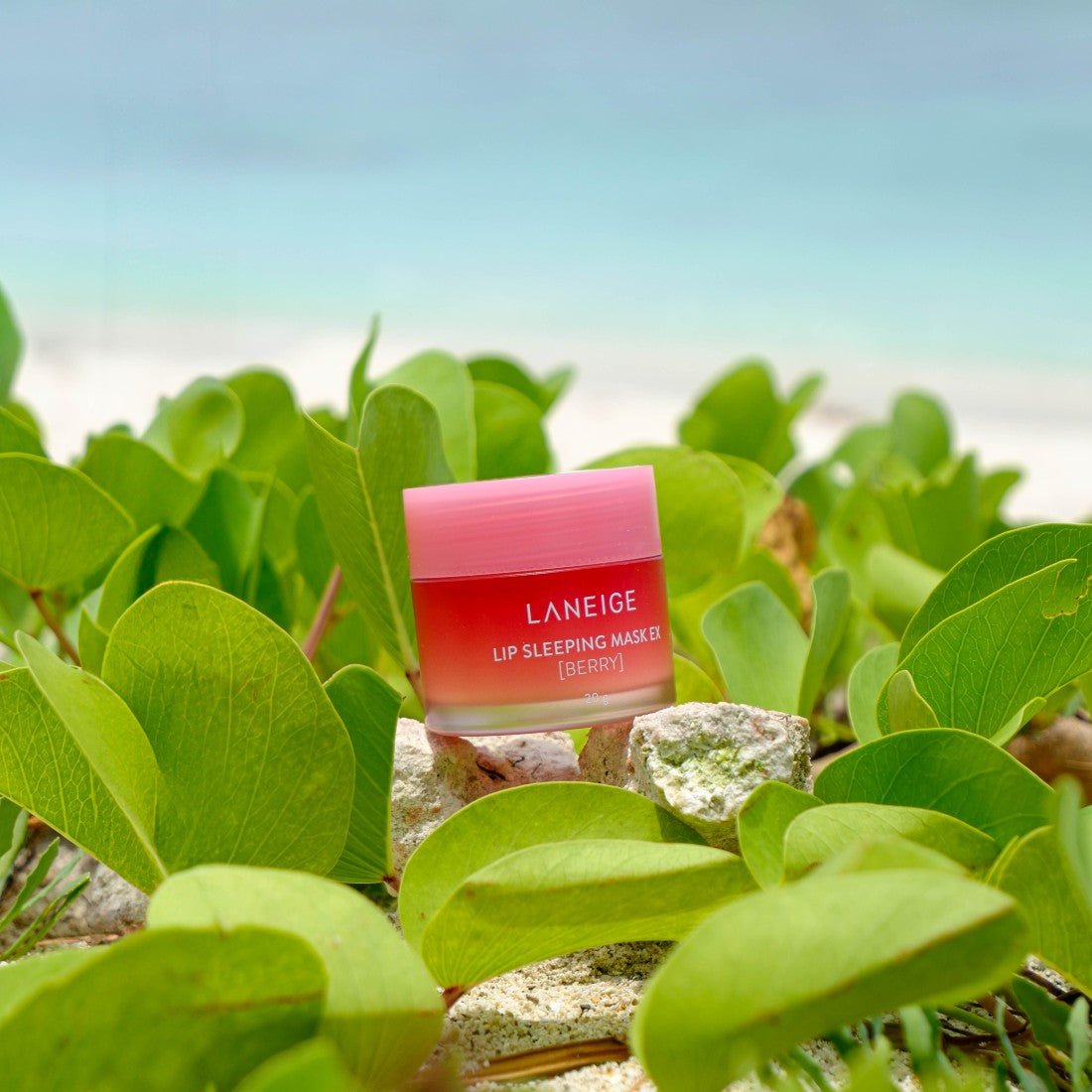 Lip Sleeping Mask Berry - Serenity Skin