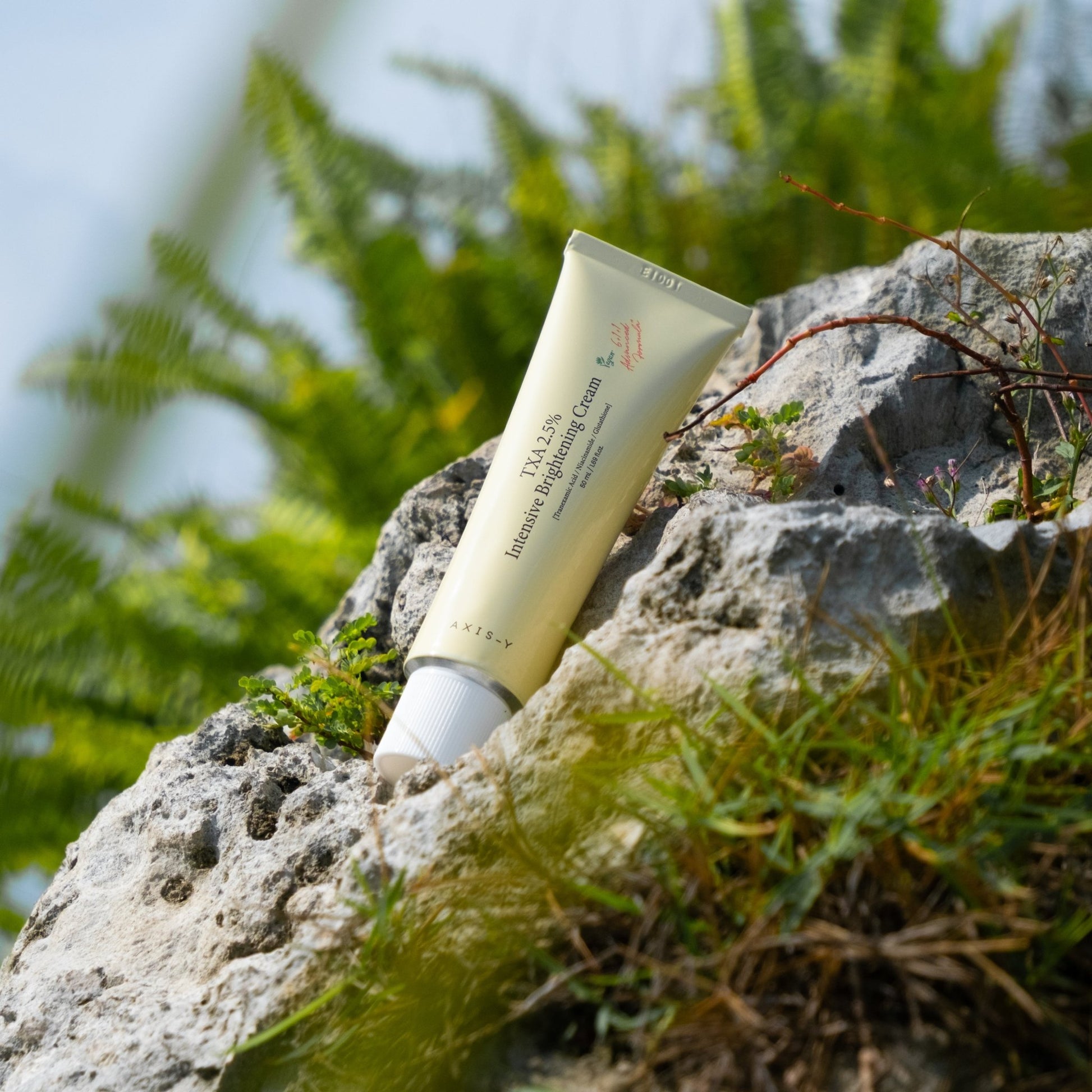 TXA 2.5% Intensive Brightening Cream - Serenity Skin
